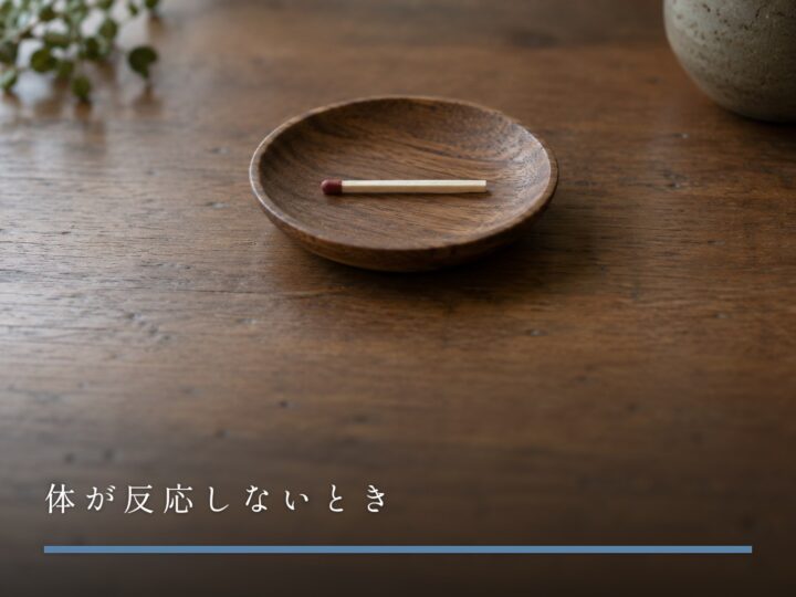 木の小皿に置かれた、まだ擦っていない一本のマッチ(体が反応しないとき)
