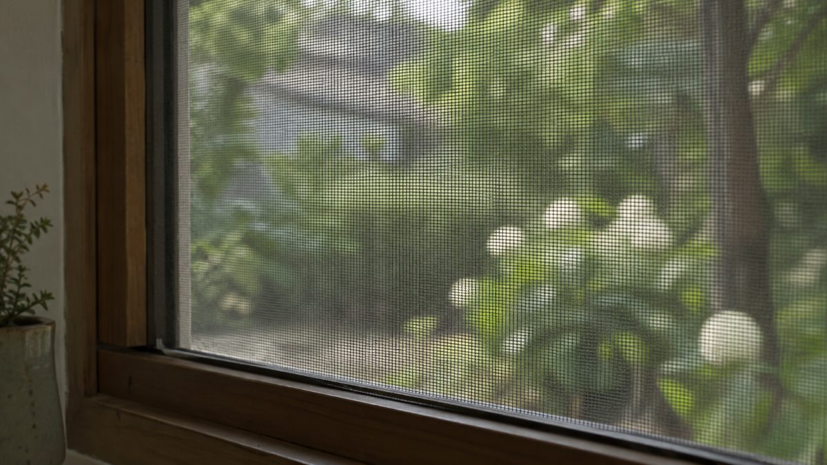 木枠の網戸ごしに、ぼやけて見える庭の緑